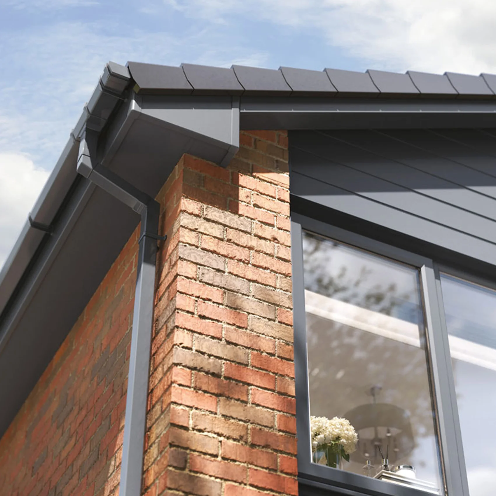 White roofline and guttering detail
